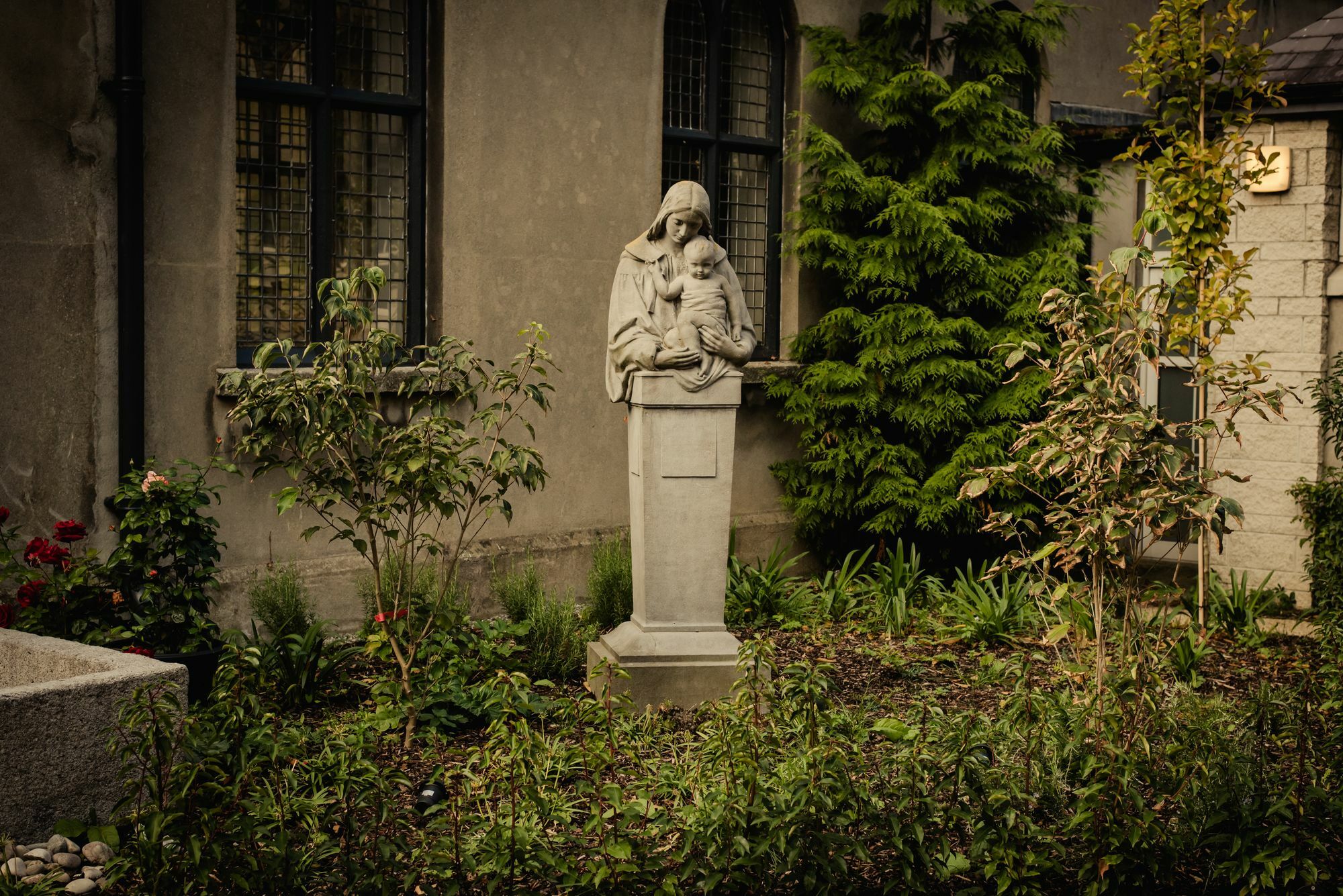 Dcu Rooms All Hallows دبلن المظهر الخارجي الصورة